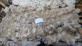 Sparrow's Fleece White Rooed