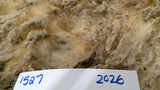 Sparrow's Fleece White Rooed
