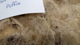 Puffin's Fleece White Rooed