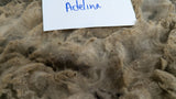 Adelina's Fleece Grey Rooed