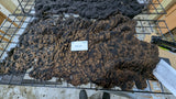 Paulina's Fleece Black Rooed