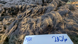 Paulina's Fleece Black Rooed