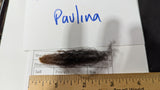 Paulina's Fleece Black Rooed