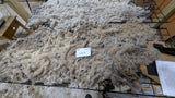 Gertrude's Fleece Grey Rooed