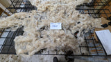 Cream Puff's Fleece White Rooed