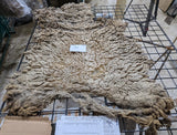 Magpie's Fleece Fawn Sheared 2026