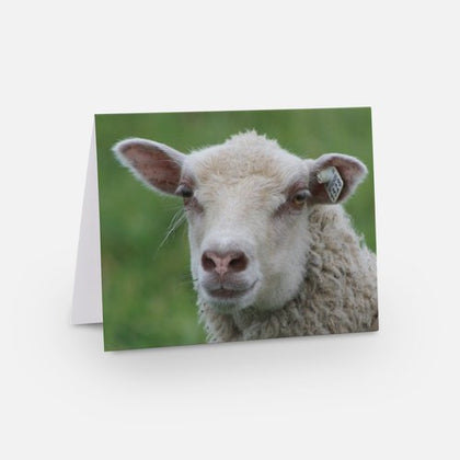 Sheepy Note Cards B - Pack of 5 - 2024 Sheep from our Flock