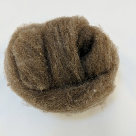1 oz Soft Shetland Roving - Moorit 2022