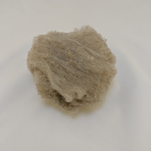 1 oz Soft Shetland Roving - Fawn 2022