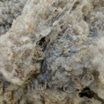 Fawn Curly Wool Locks - Neda - 2.72 oz
